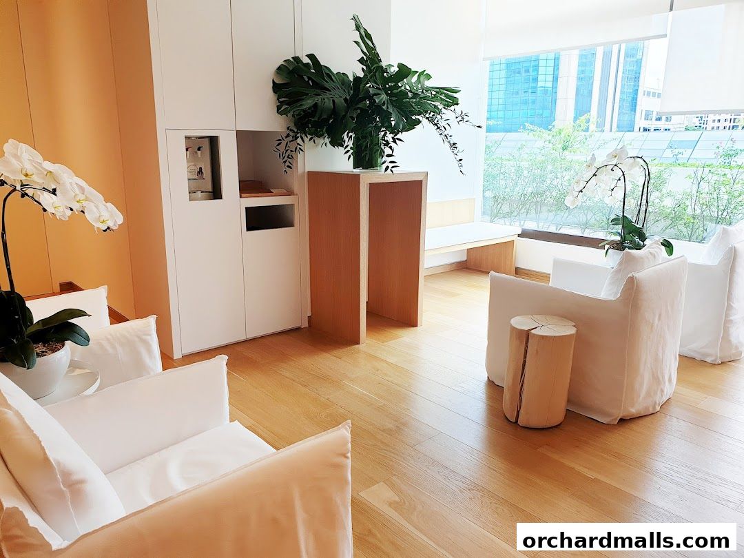 The Stretch Clinic  Orchard