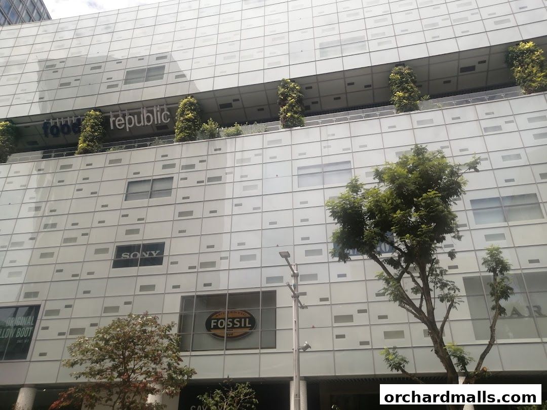 The Wellness Global Private Limited