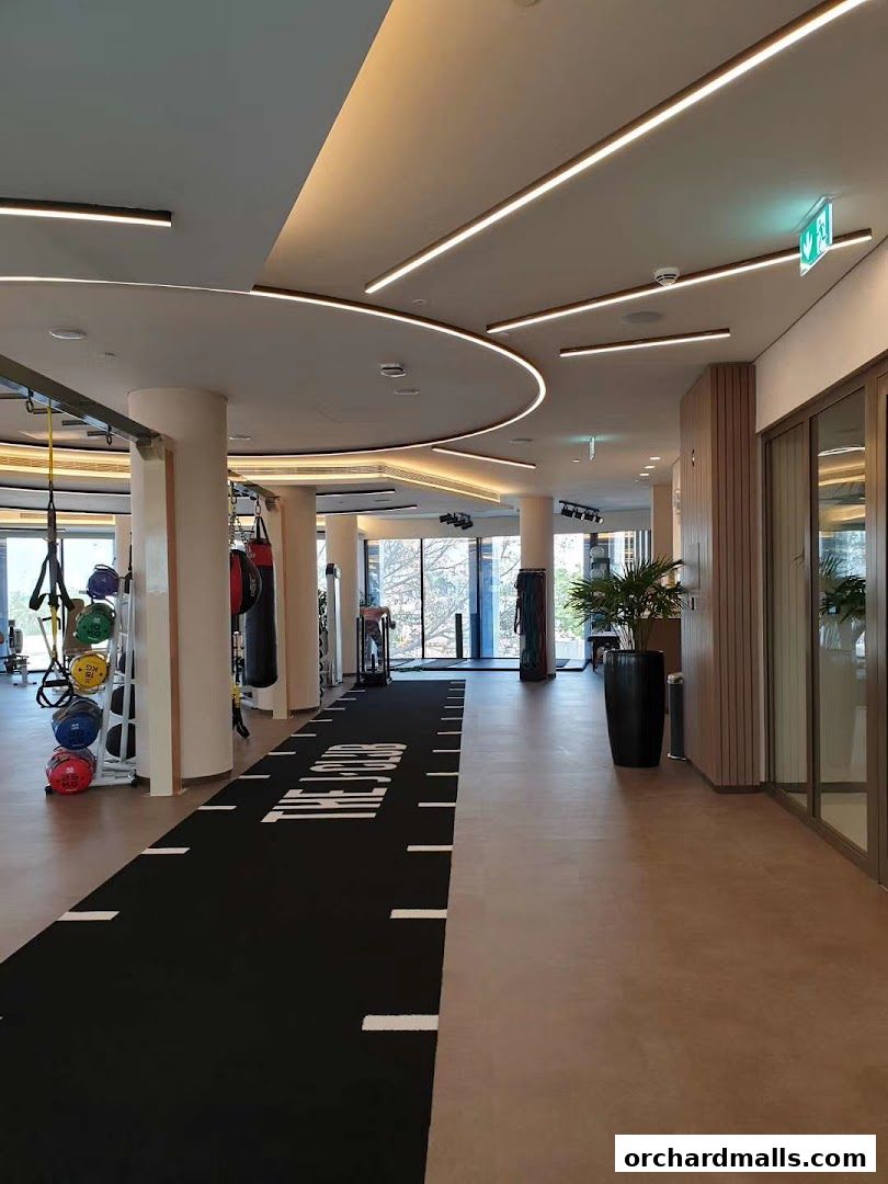 The Wellness Global Private Limited