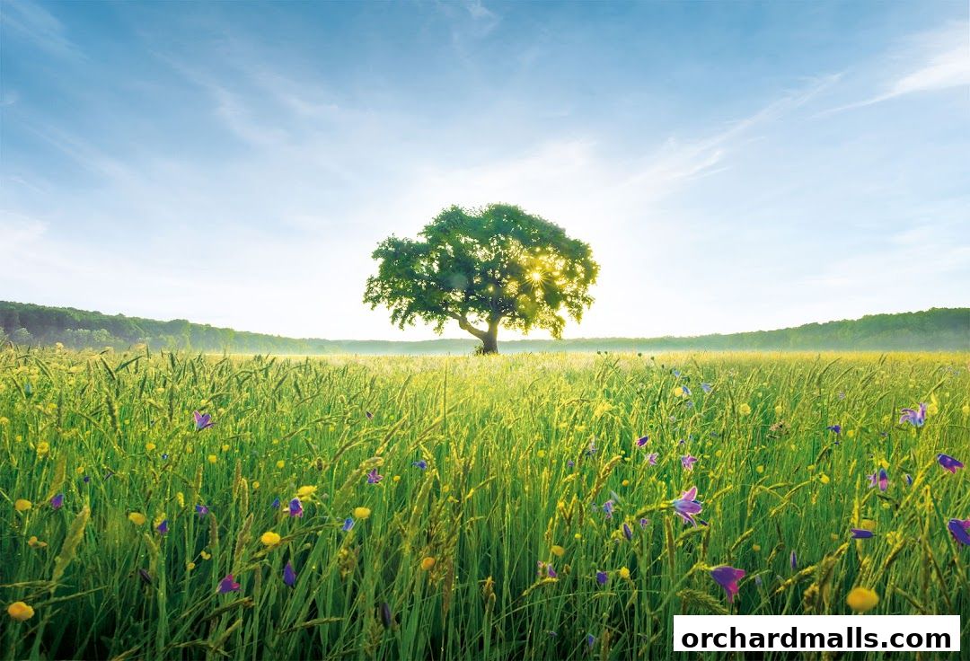 THEFACESHOP - Nature Collection Wisma Atria