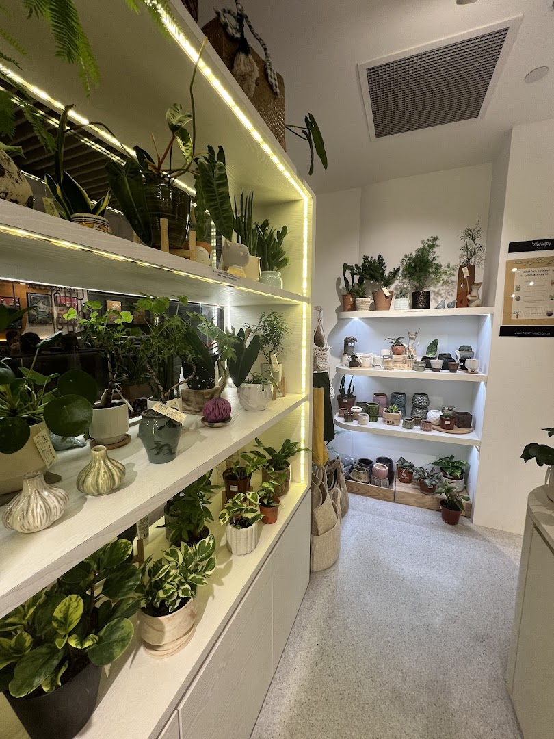 Therapy Market at Wheelock Place