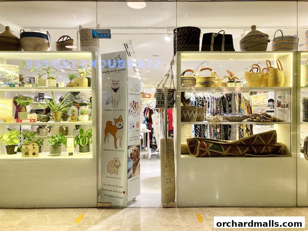 A retail shop displaying plants, baskets, and pet accessories.