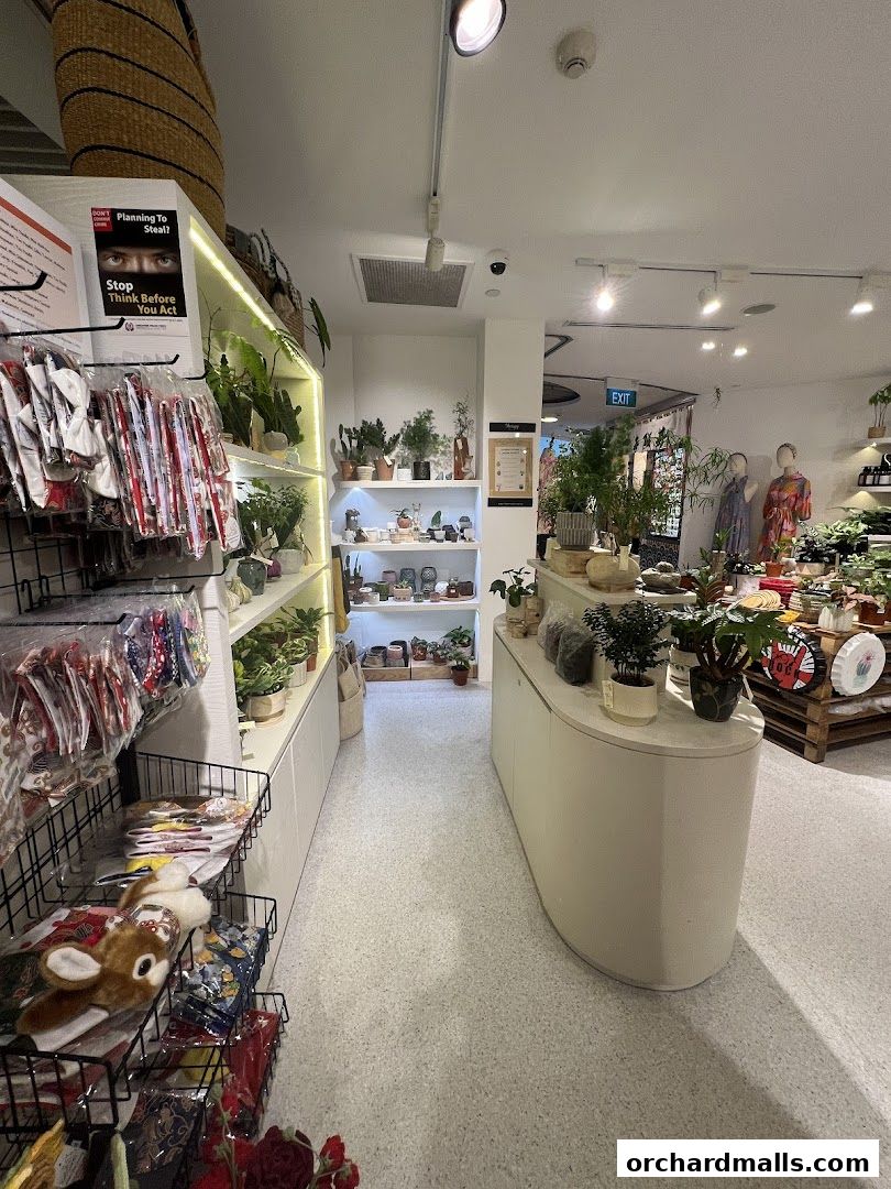 Interior view of a retail shop with plants, clothing, and decorative items on display.