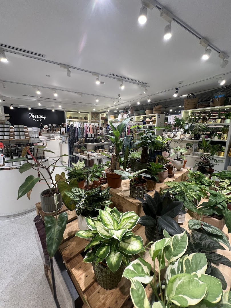 Therapy Market at Wheelock Place