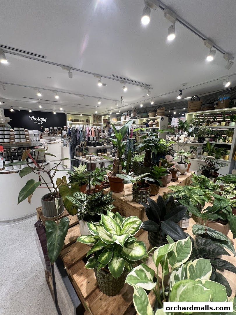 Interior view of Therapy Market at Wheelock Place, showcasing a variety of plants and merchandise.