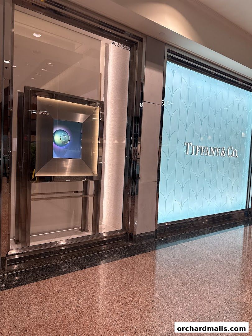 The elegant storefront of Tiffany & Co. featuring a display window and illuminated signage.