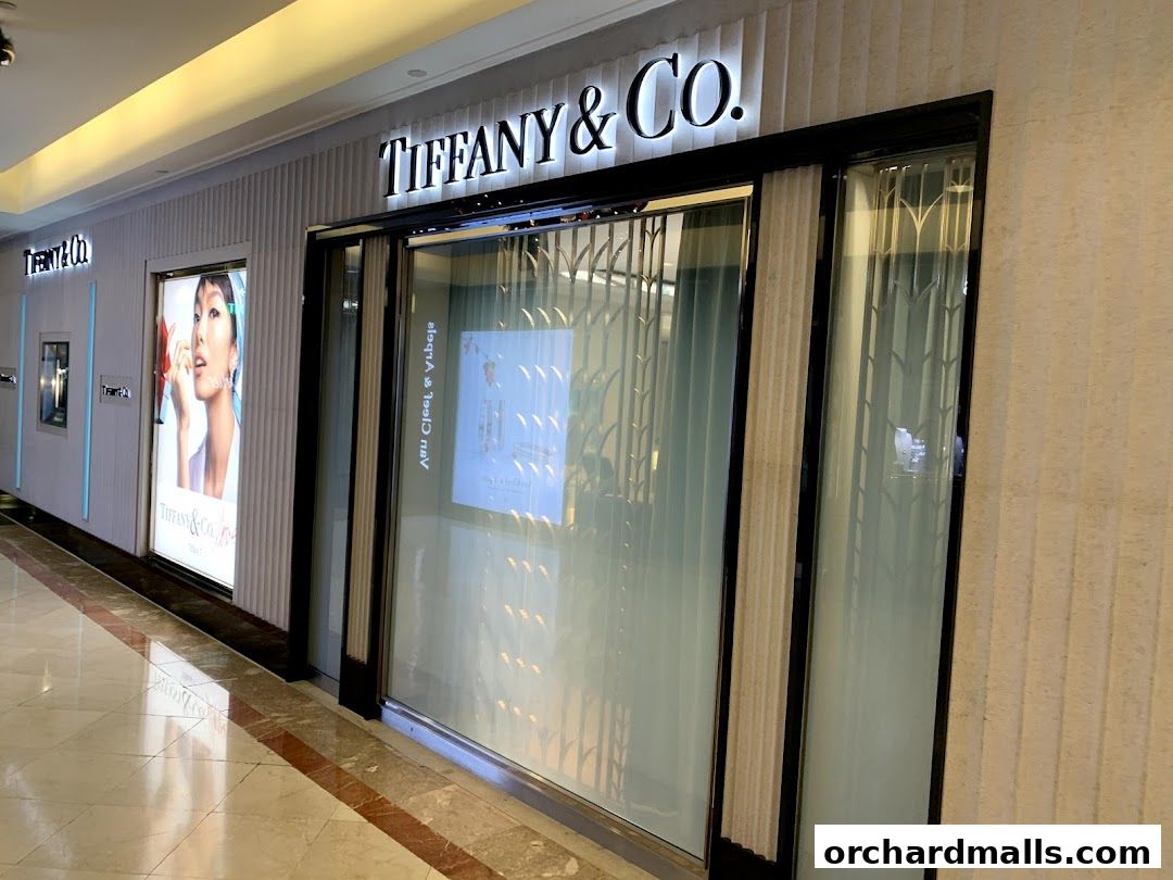 The elegant storefront of Tiffany & Co. features illuminated signage and a modern glass entrance.