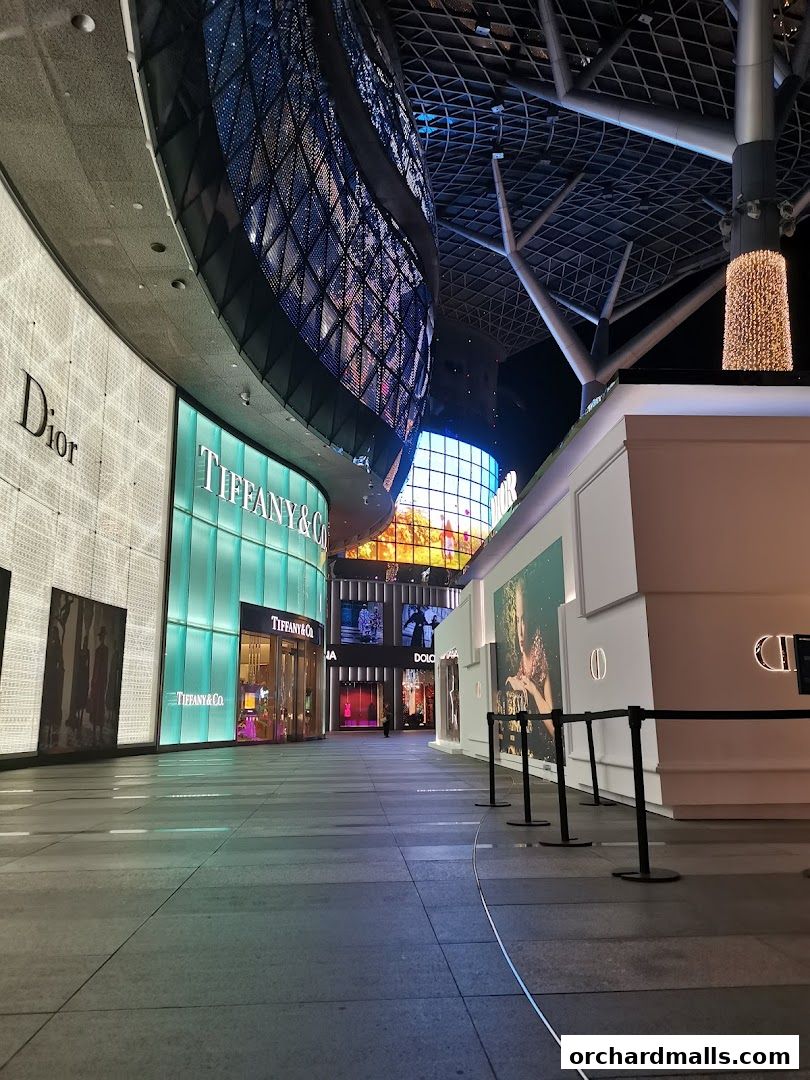 Exterior view of Tiffany & Co. and other luxury brand stores at night.