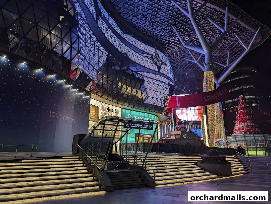 A nighttime view of luxury brand stores including Louis Vuitton, Dior, and Tiffany & Co. with festive decorations.