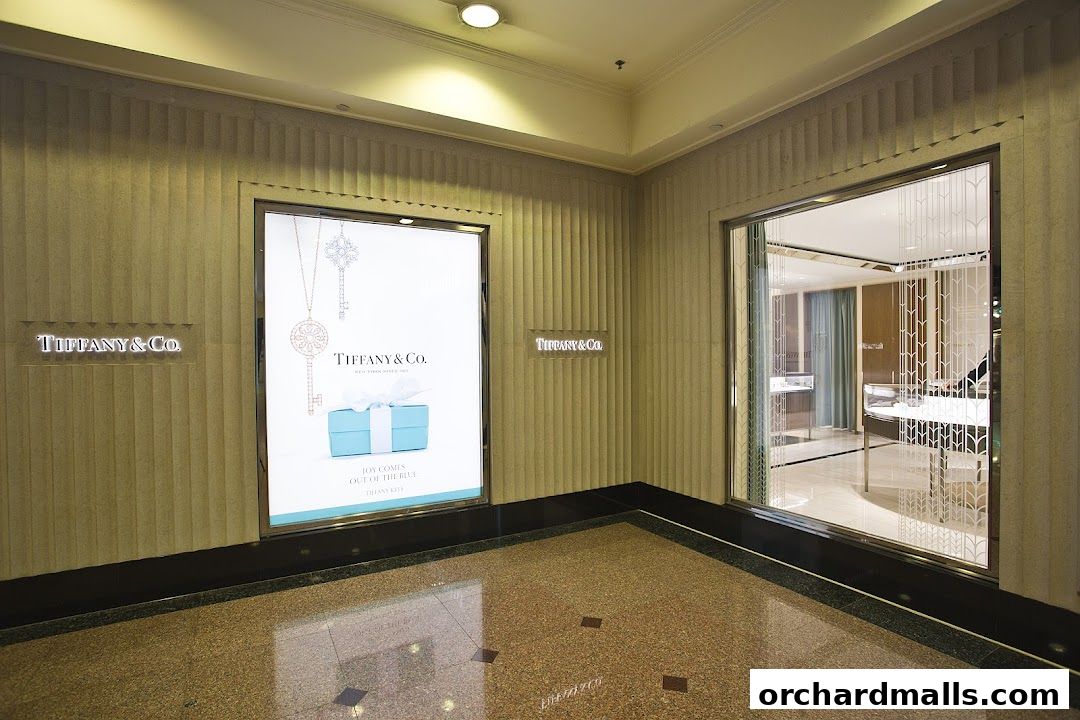 The exterior of a Tiffany & Co. jewelry store with illuminated signage and a display.