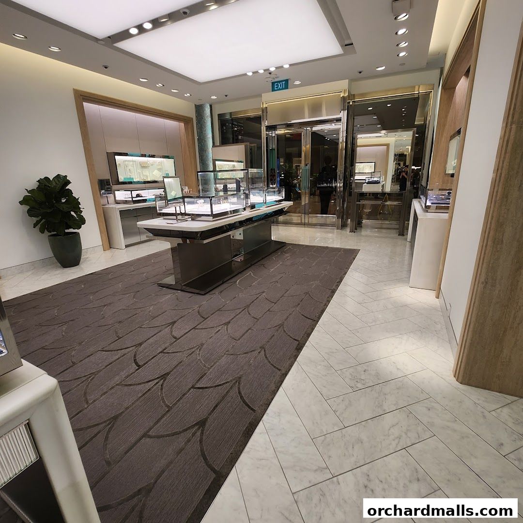 Interior view of a Tiffany & Co. jewelry store with display cases and an exit sign.