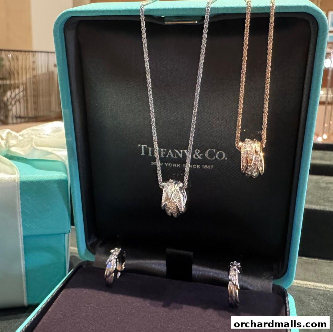Tiffany & Co. jewelry display featuring necklaces and rings in a signature blue box.