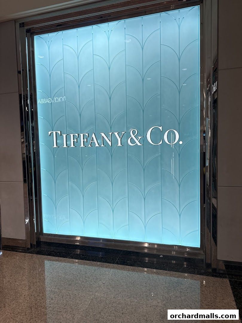 The illuminated storefront of Tiffany & Co. with its iconic logo.