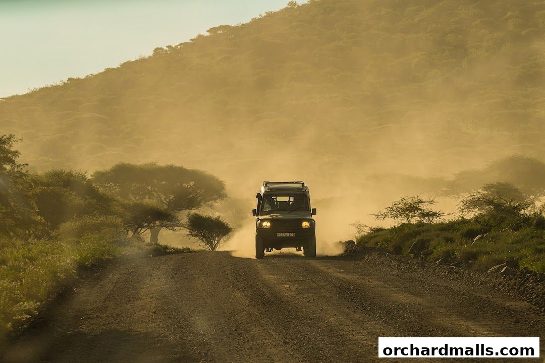 A safari vehicle drives down a dusty road through a savanna landscape.