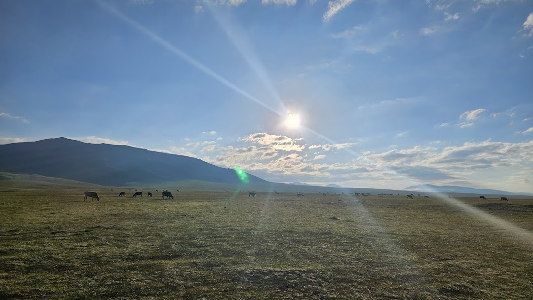 TLC Adventure Tours Pte Ltd