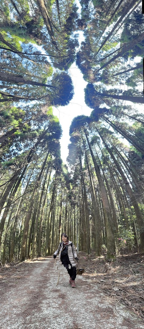 TLC Adventure Tours Pte Ltd