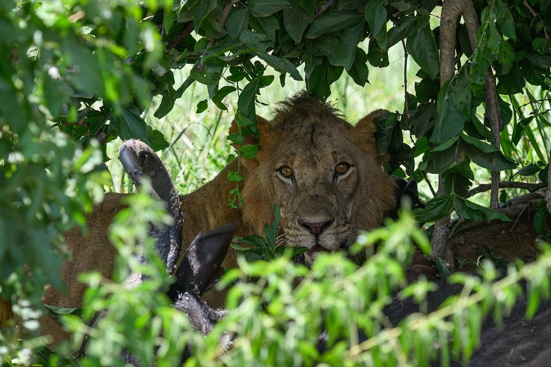 TLC Adventure Tours Pte Ltd