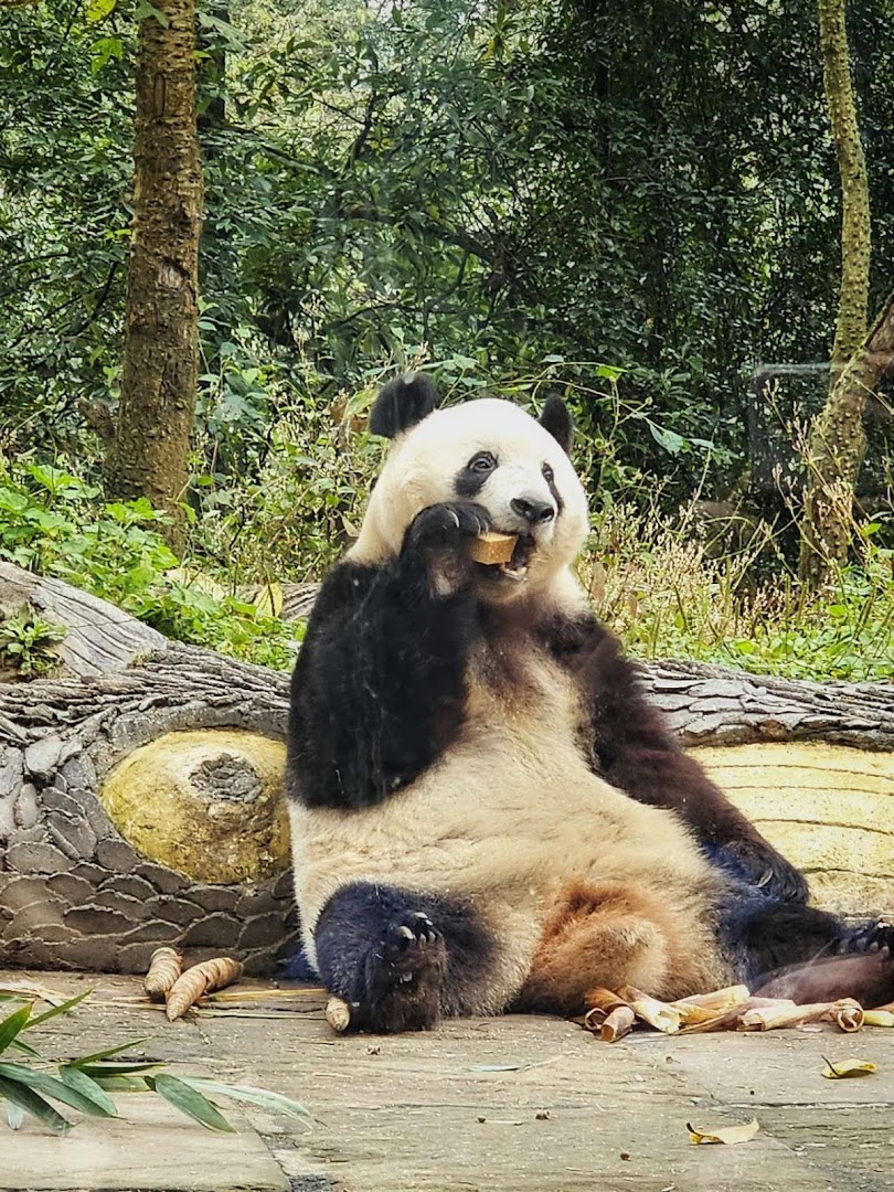 TLC Adventure Tours Pte Ltd