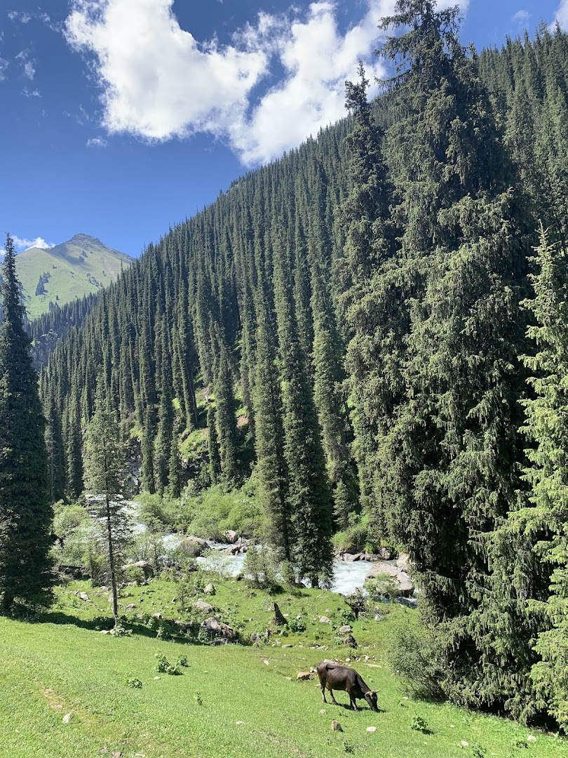 TLC Adventure Tours Pte Ltd