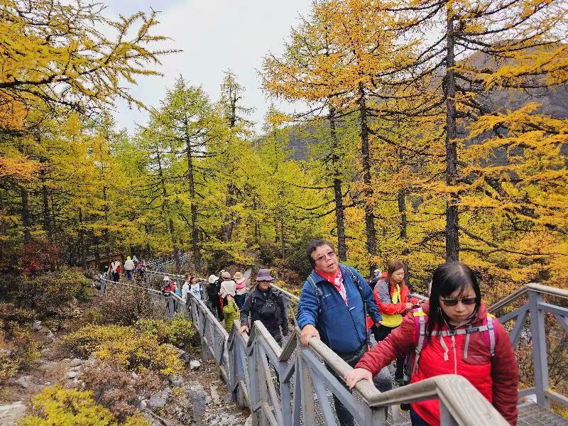 TLC Adventure Tours Pte Ltd