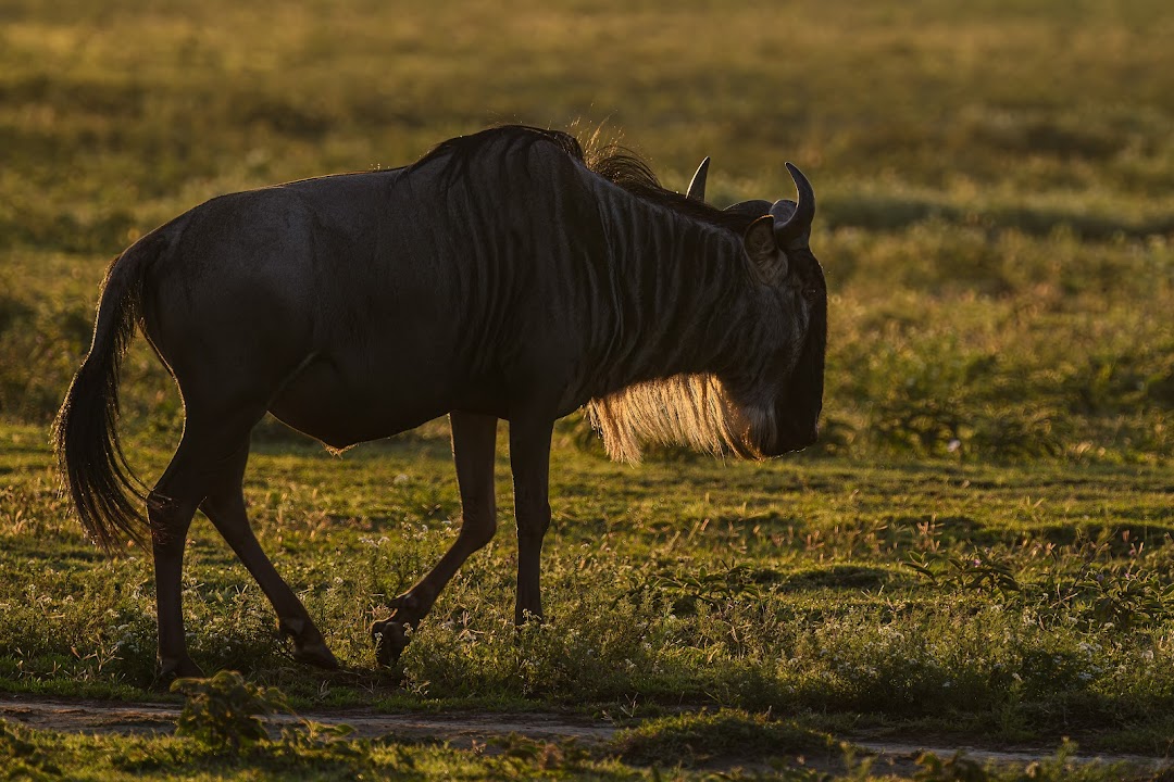 TLC Adventure Tours Pte Ltd