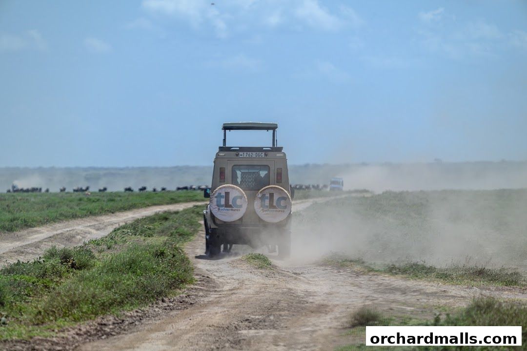 A safari vehicle drives on a dusty road with wildebeest in the distance.