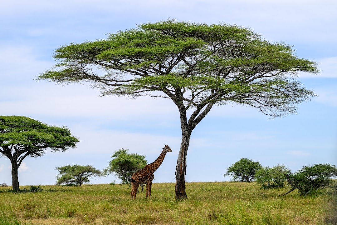 TLC Adventure Tours Pte Ltd