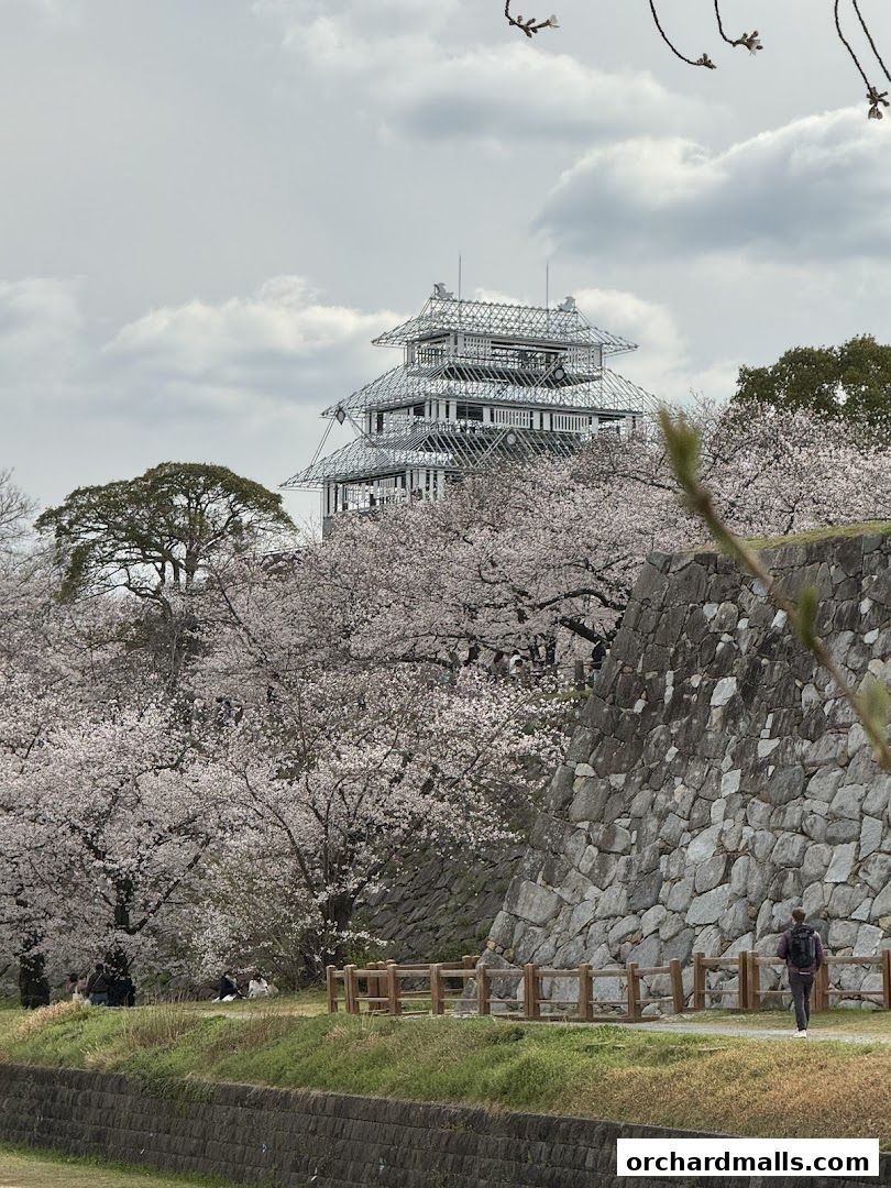 A historic castle surrounded by cherry blossoms on a cloudy day.