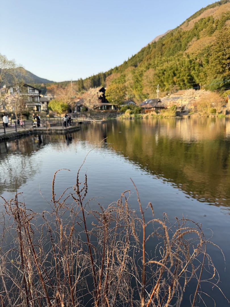 TLC Adventure Tours Pte Ltd