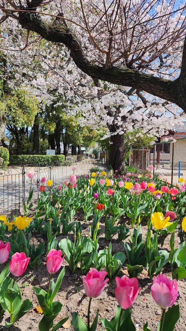 TLC Adventure Tours Pte Ltd