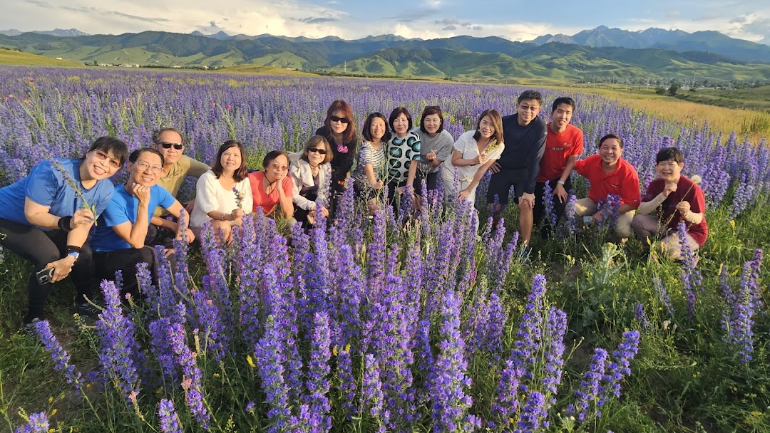 TLC Adventure Tours Pte Ltd