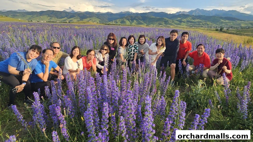 A group of people posing for a photo in a field of purple flowers with mountains in the background.