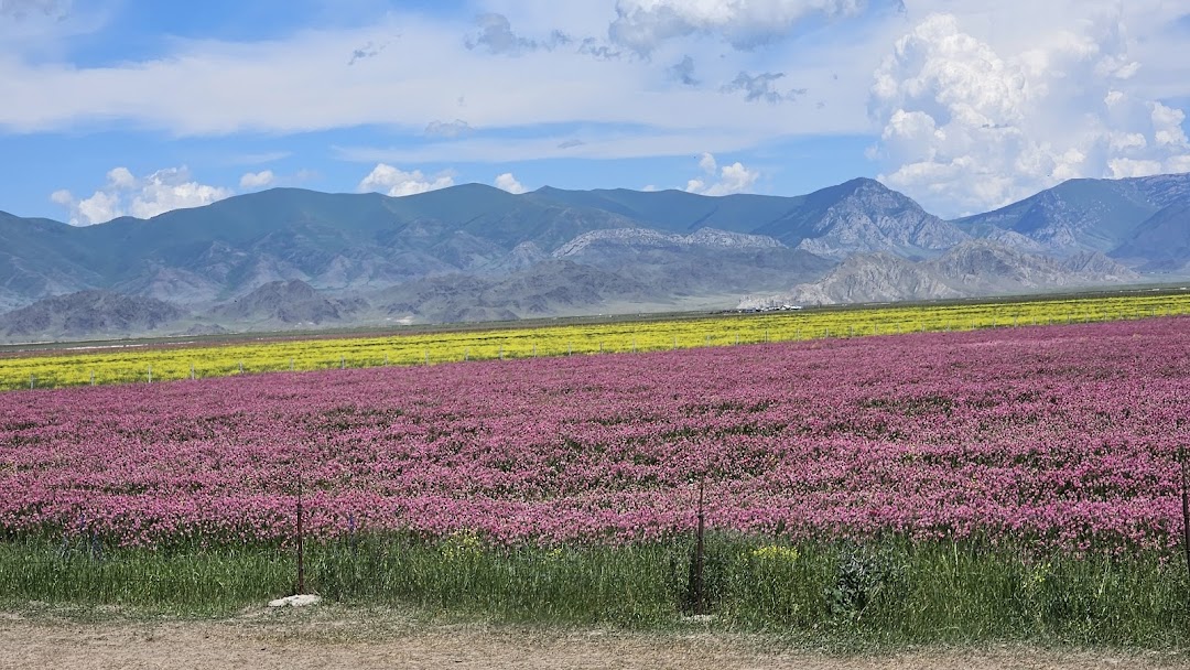 TLC Adventure Tours Pte Ltd