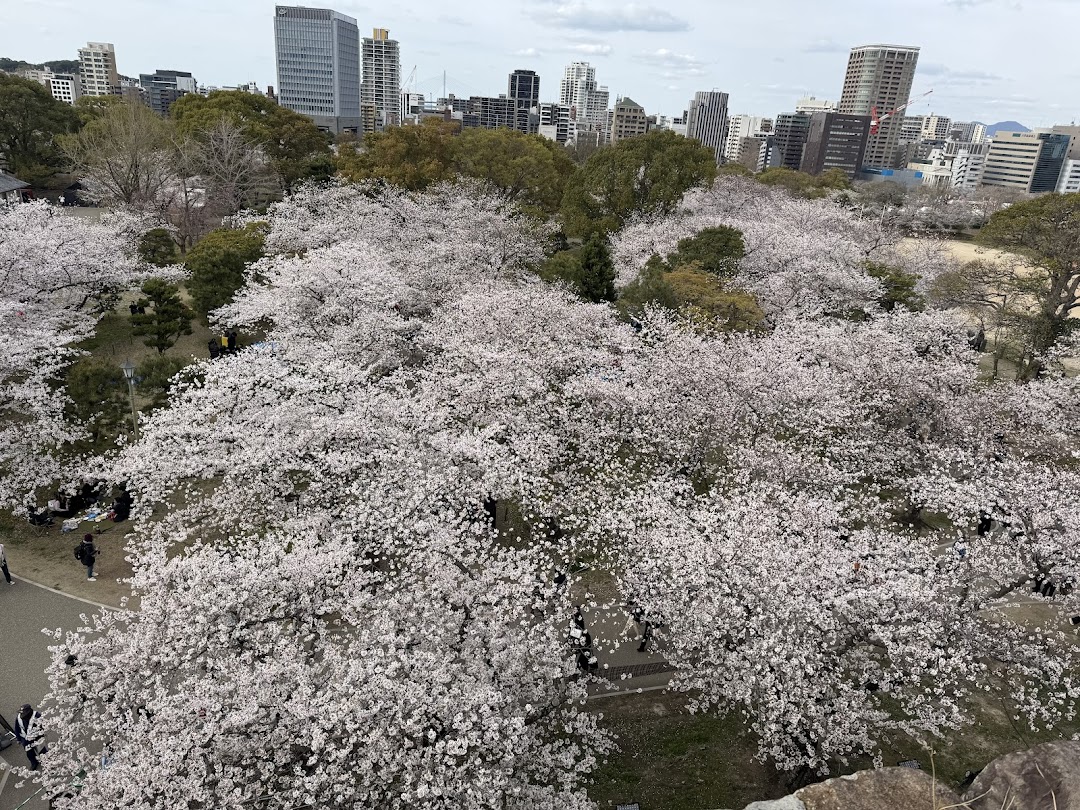 TLC Adventure Tours Pte Ltd