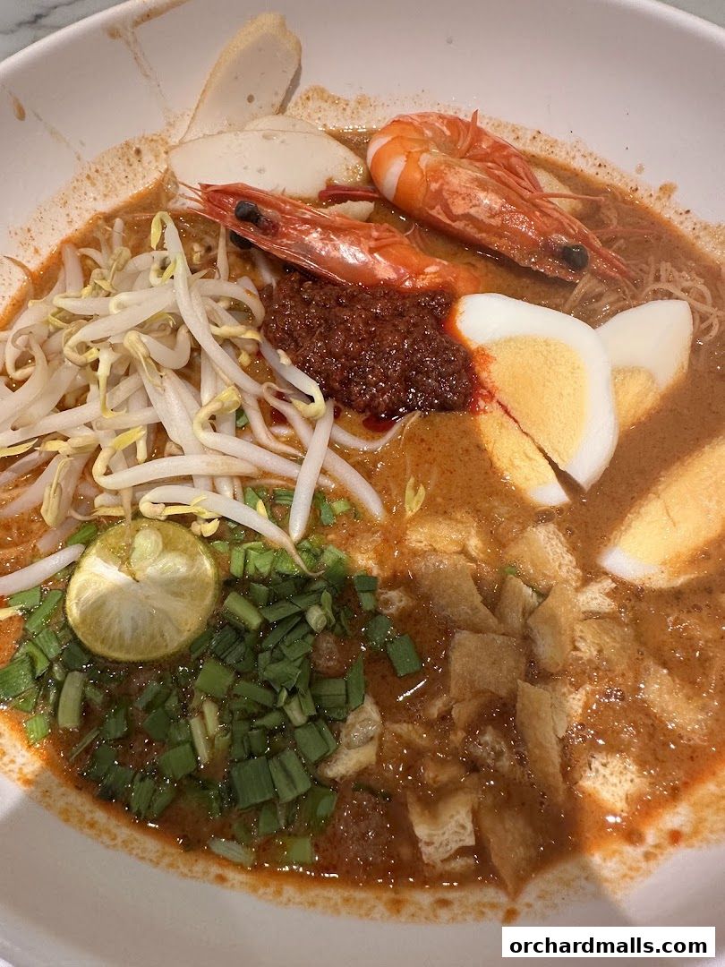 A close-up shot of a delicious bowl of Laksa with prawns, egg, bean sprouts, and chili paste.