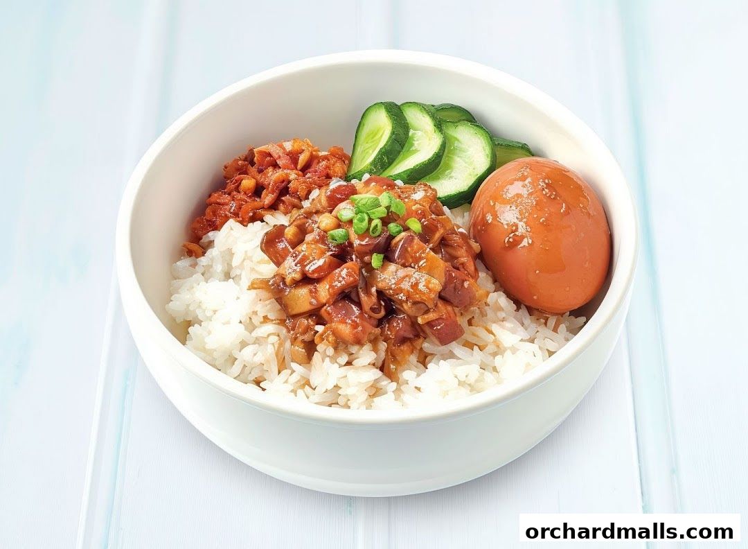 A bowl of rice topped with braised pork, a braised egg, and cucumber slices.