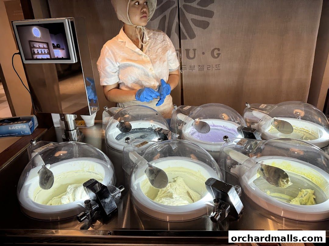 Tofu G Gelato  Korean Premium Ice Cream Mandarin Gallery, Orchard Pop-Up