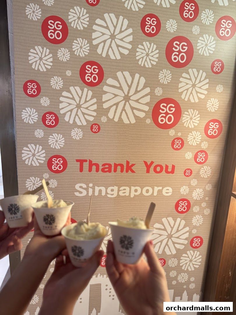 Tofu G Gelato  Korean Premium Ice Cream Mandarin Gallery, Orchard Pop-Up