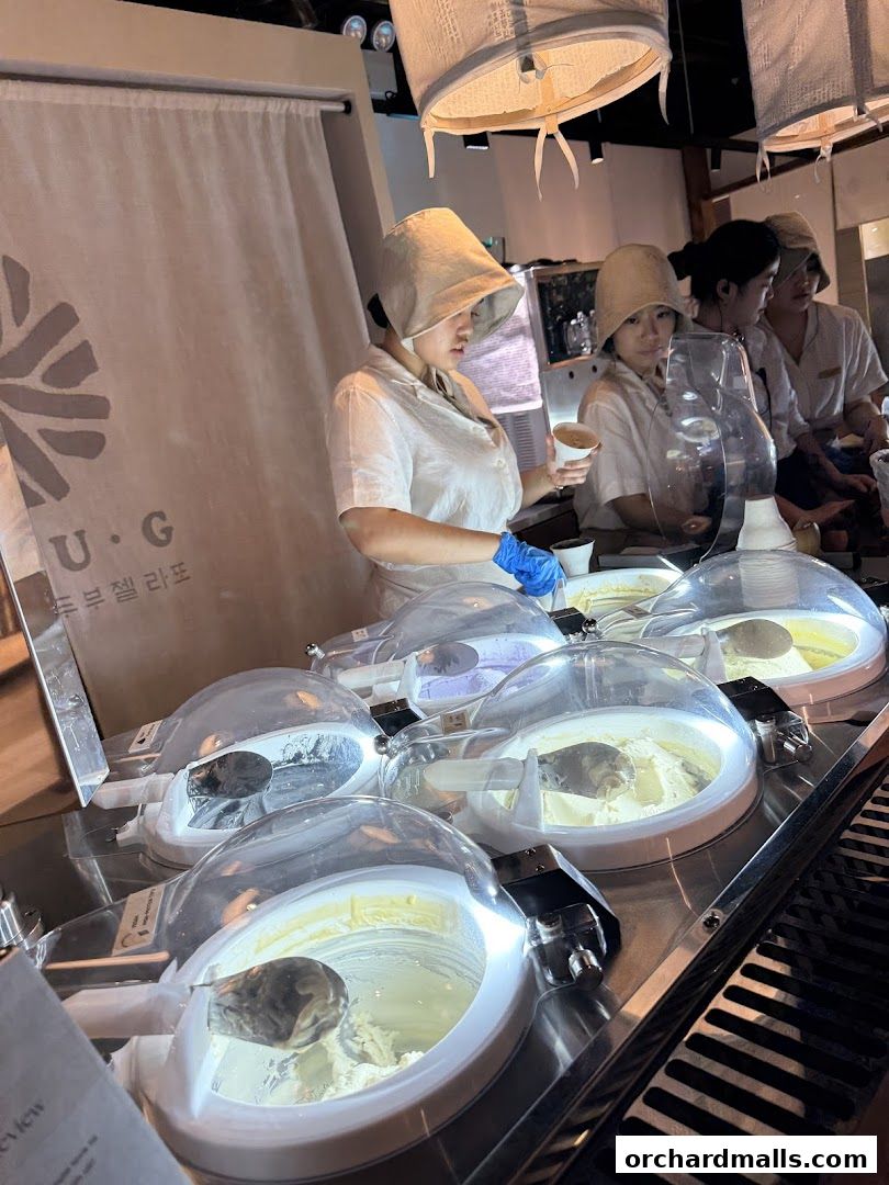 Tofu G Gelato  Korean Premium Ice Cream Mandarin Gallery, Orchard Pop-Up