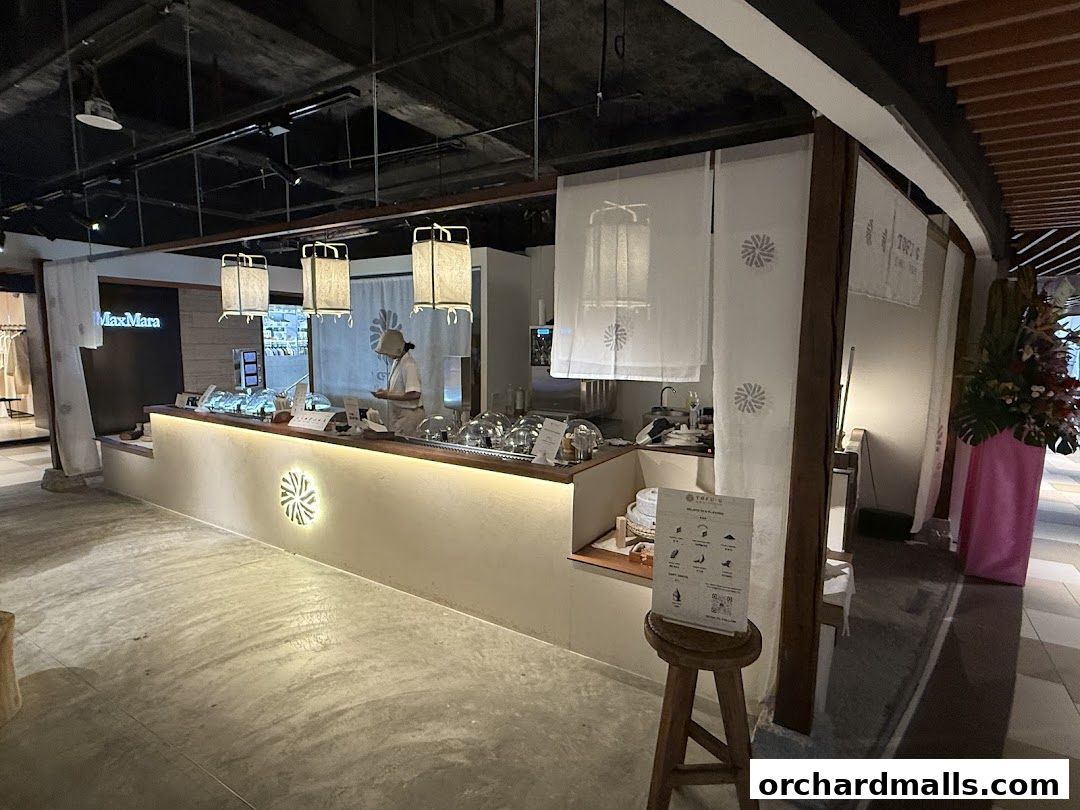 Tofu G Gelato  Korean Premium Ice Cream Mandarin Gallery, Orchard Pop-Up