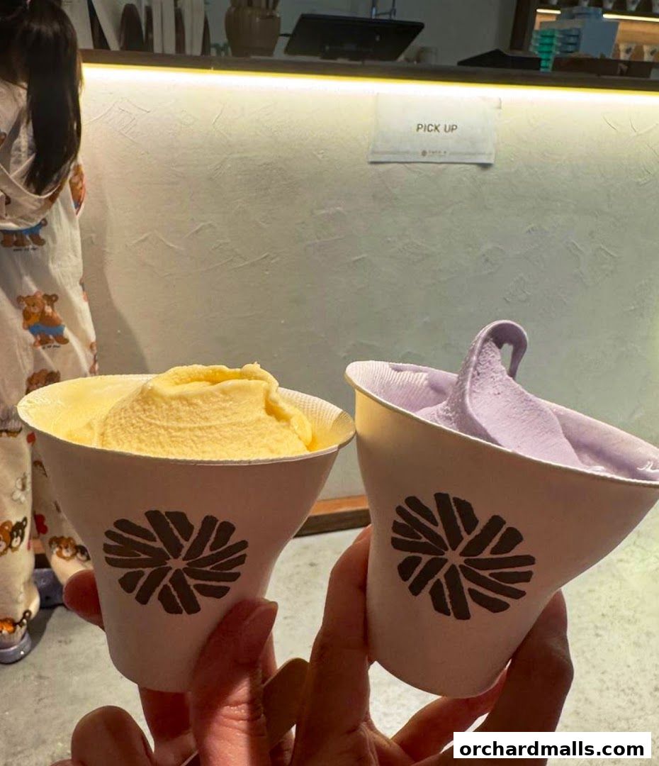 Tofu G Gelato  Korean Premium Ice Cream Mandarin Gallery, Orchard Pop-Up