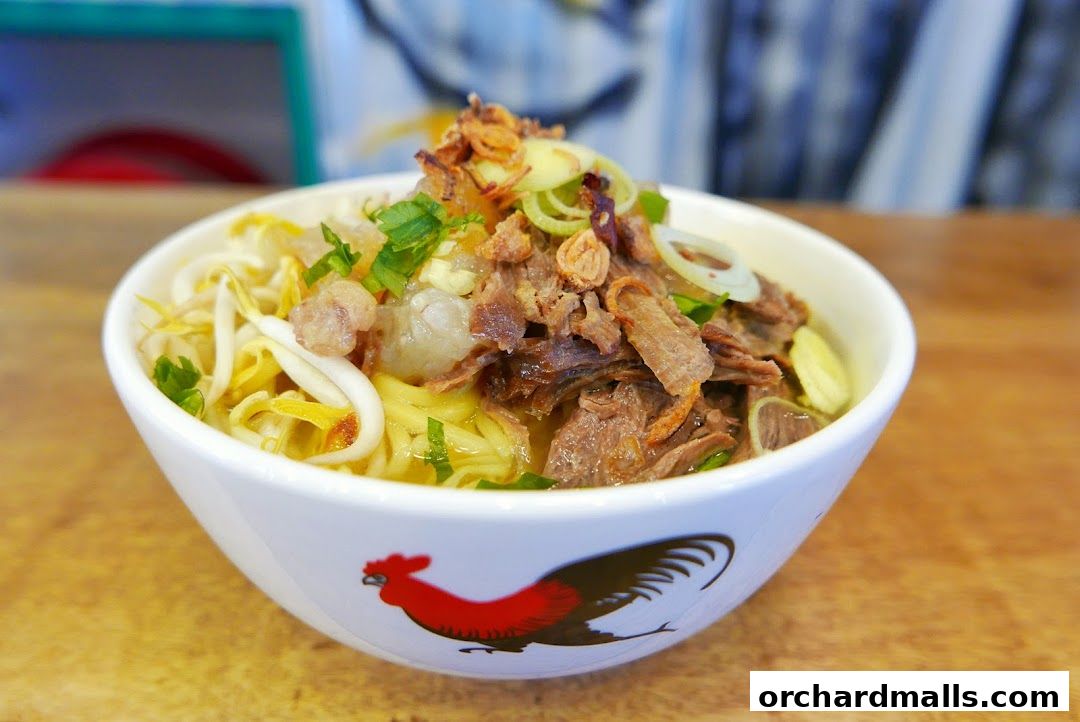 Tok Tok Indonesian Soup House 313 Somerset