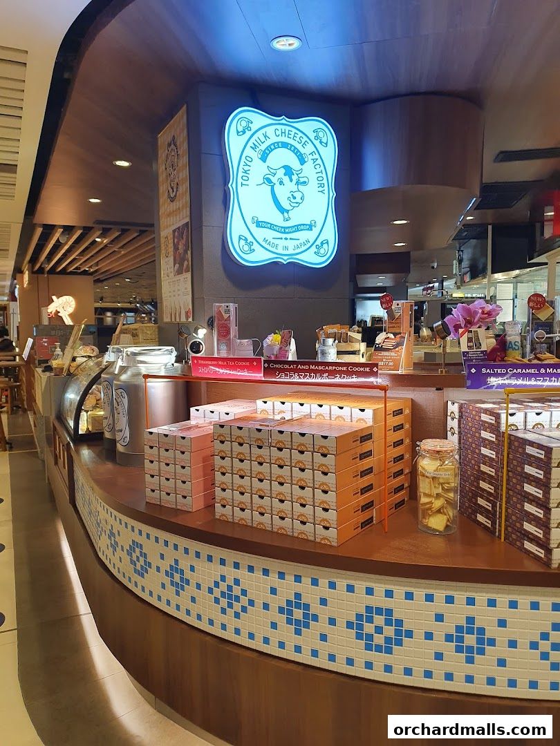 A display of Tokyo Milk Cheese Factory products, including stacked boxes of cookies and a jar of treats.