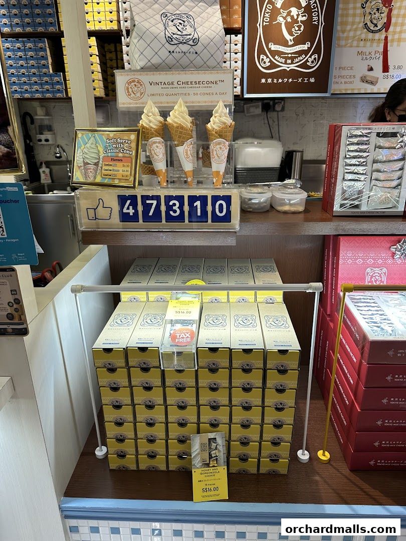 Tokyo Milk Cheese Factory Paragon