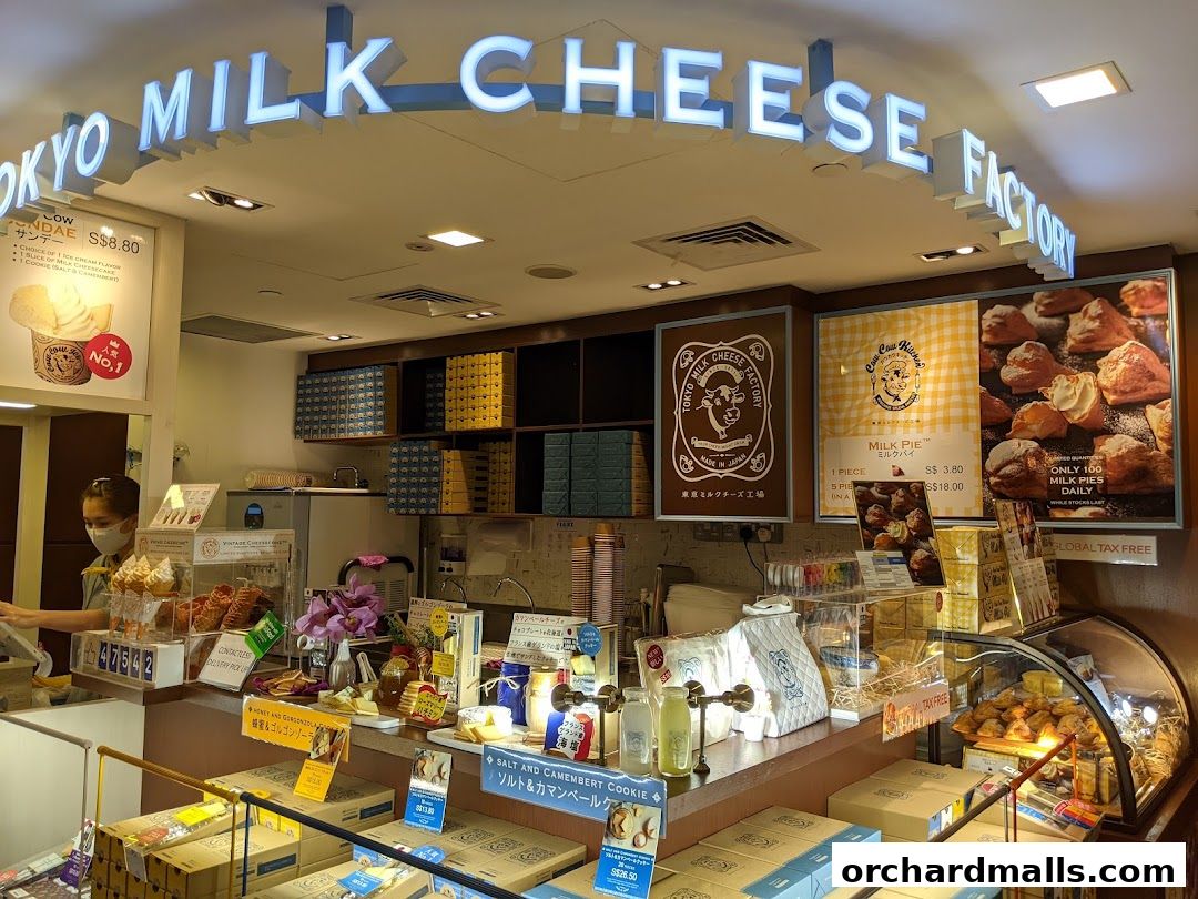 Tokyo Milk Cheese Factory Paragon