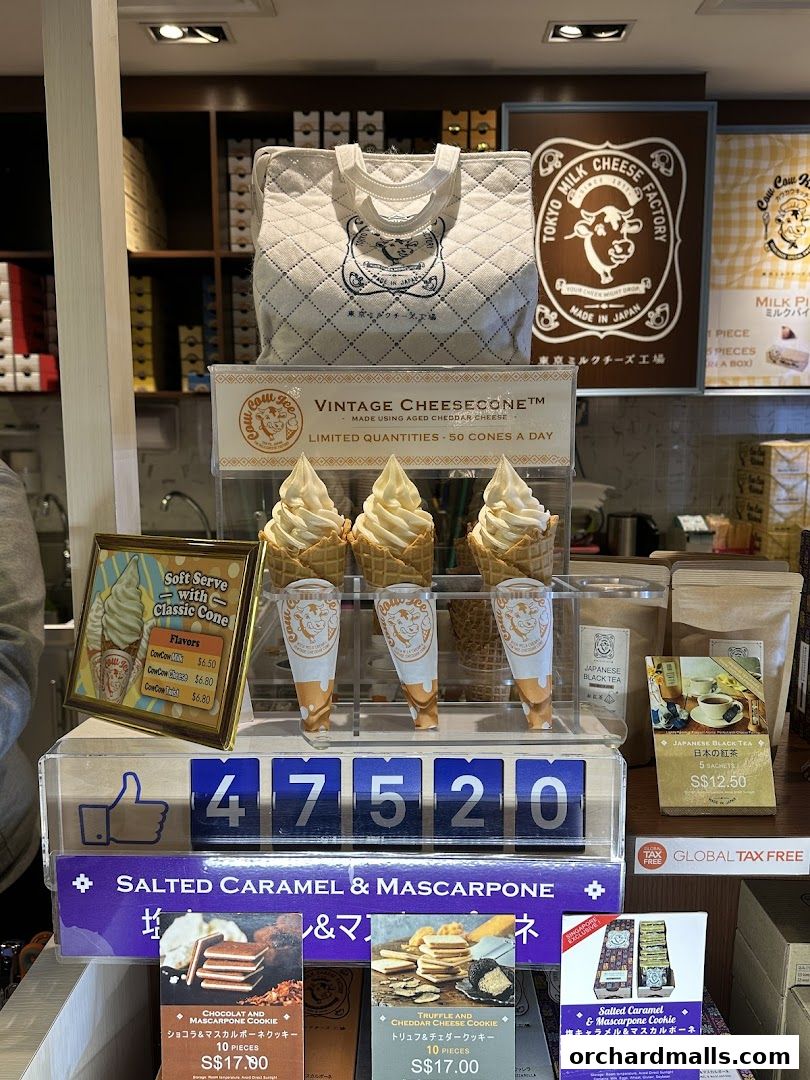 Tokyo Milk Cheese Factory Paragon