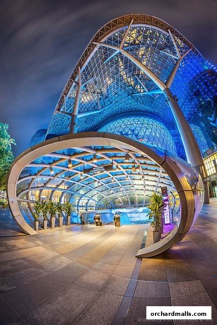 Modern architectural entrance with glass dome and blue lighting at night.
