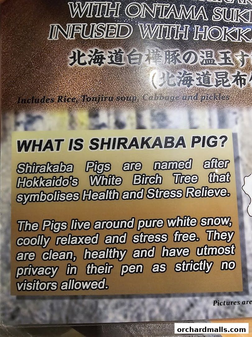 Menu page for Tonkatsu by Ma Maison  Mandarin Gallery