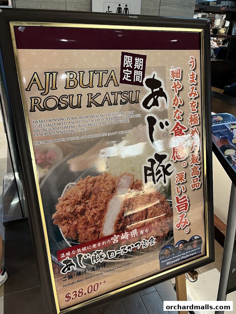 Menu page for Tonkatsu by Ma Maison  Mandarin Gallery