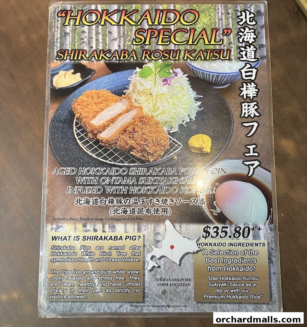 Menu page for Tonkatsu by Ma Maison  Mandarin Gallery